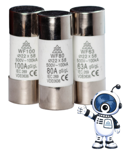 WCED Metal Switch fuse - Fused Main Switch with 3 fuses WFMS100/3F