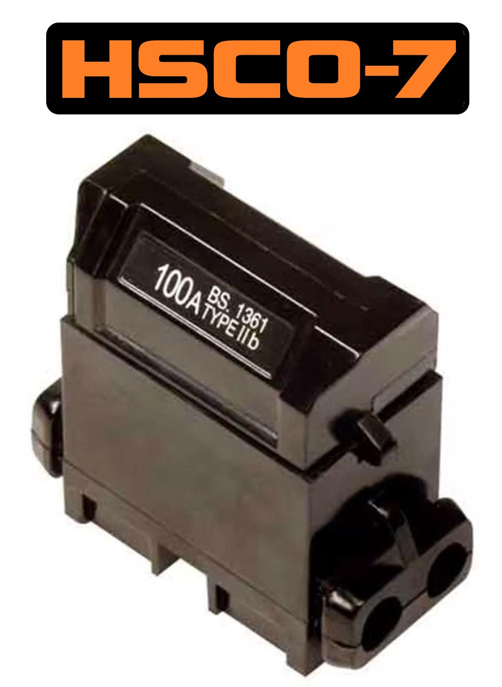 100A Single Pole House Service Cut-out - Black