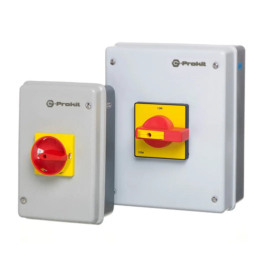 25a-125a 4-Pole Metal Clad Enclosed Switch-Disconnector Rotary Isolator (IP54)